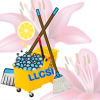 LLCSI.CA